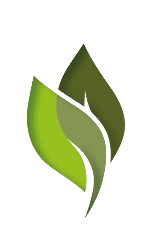Shouguang Vegetable Group Logo